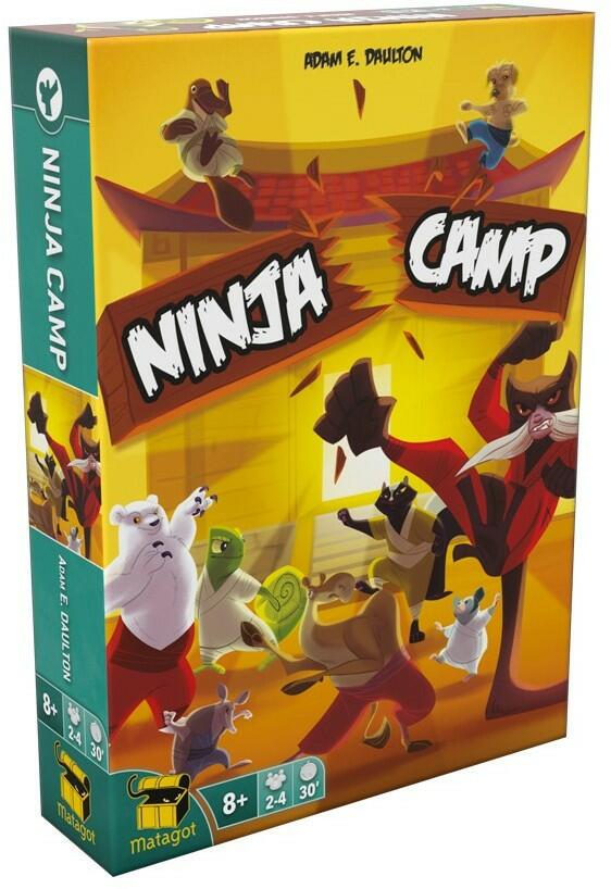 Ninja Camp Cover 3d
