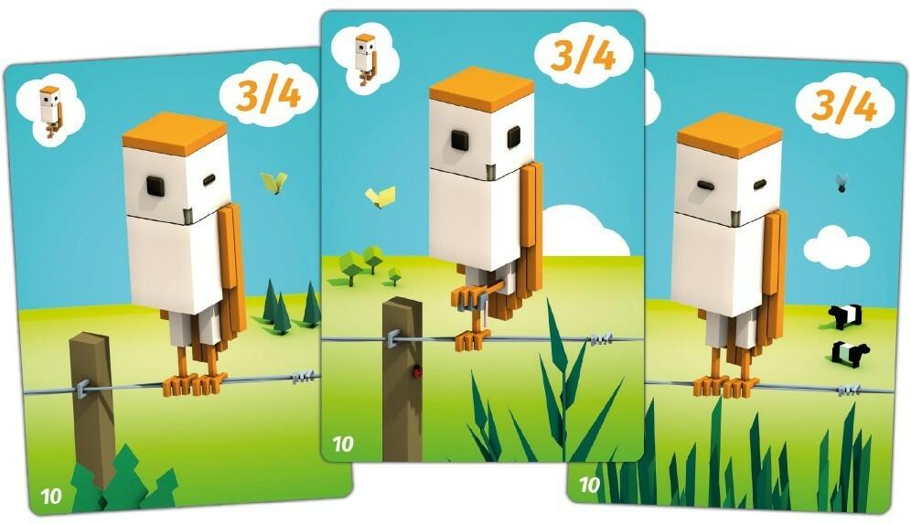 CuBirds Cartes