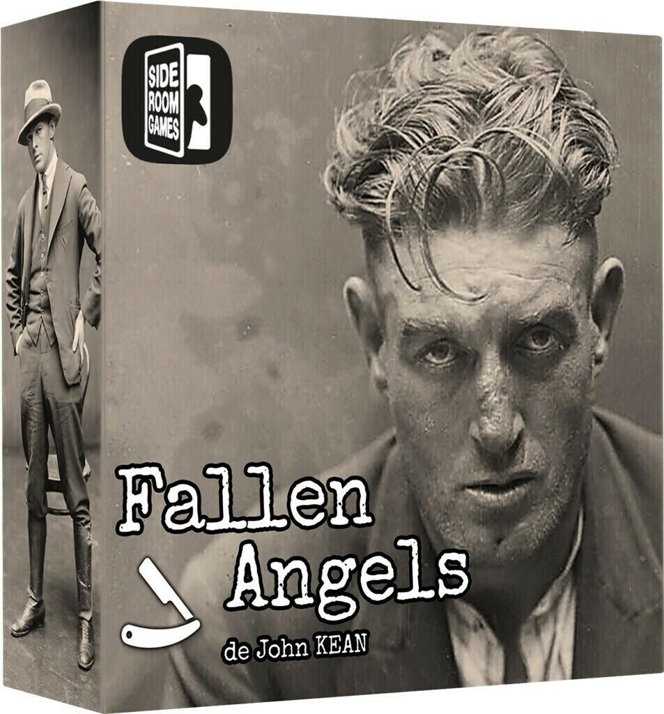 Fallen Angels Cover 3d