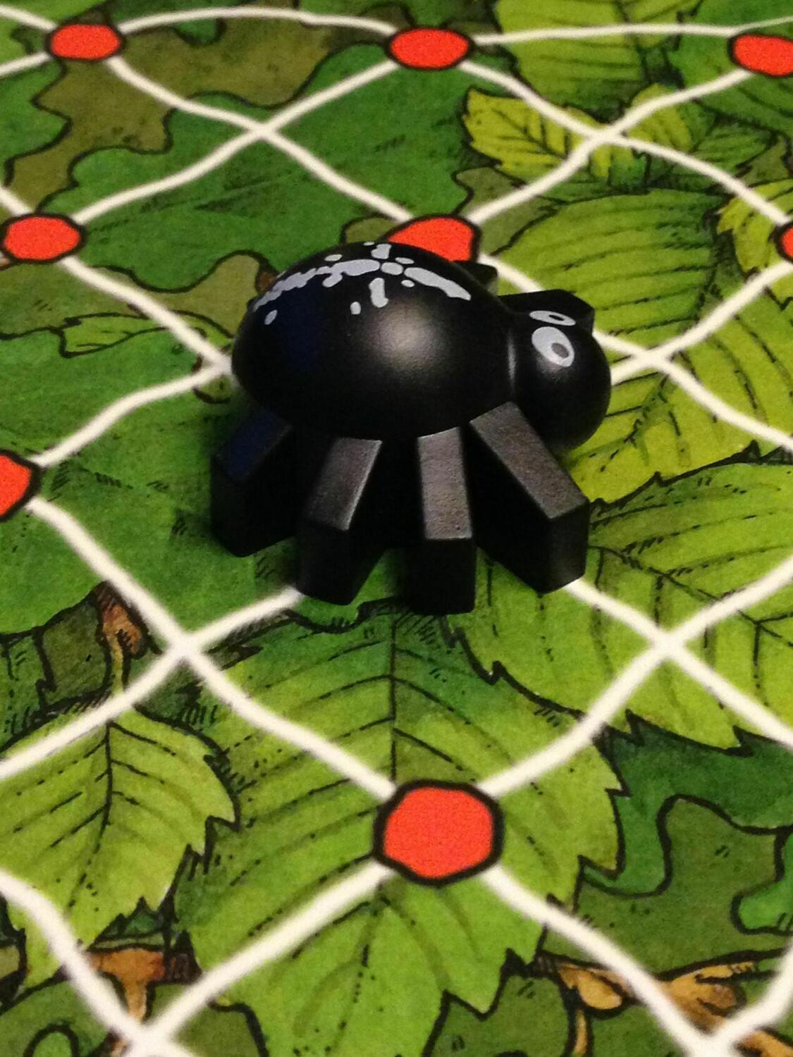 Gare à la Toile Zoom