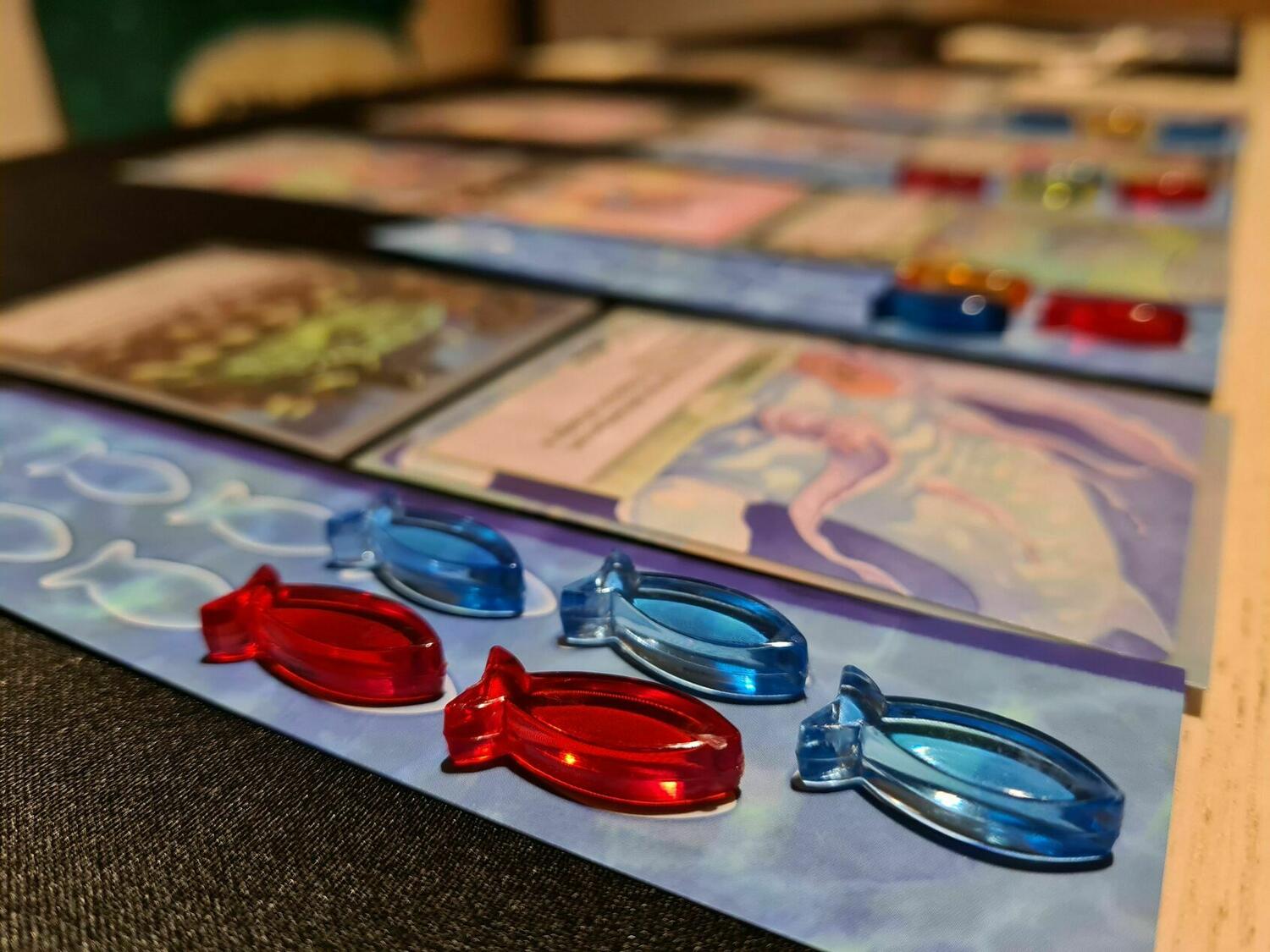 Océans: Édition Limitée Zoom