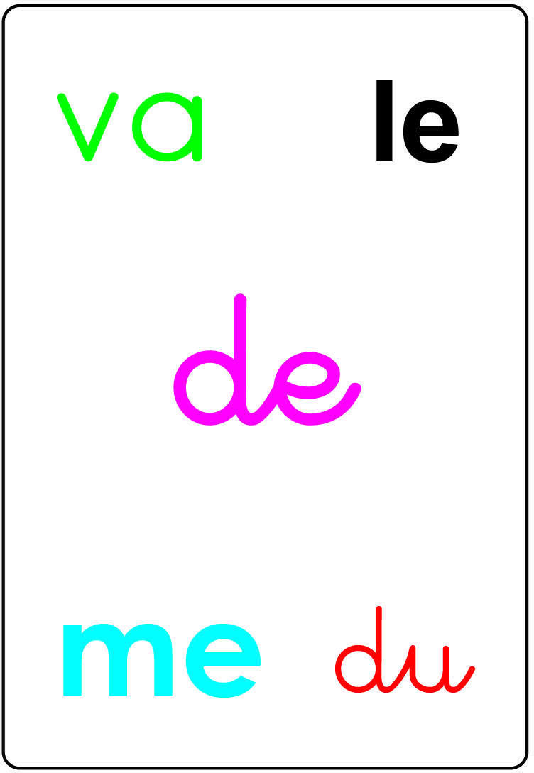 Tam Tam: Safari - Les Mots-Outils du CP Carte