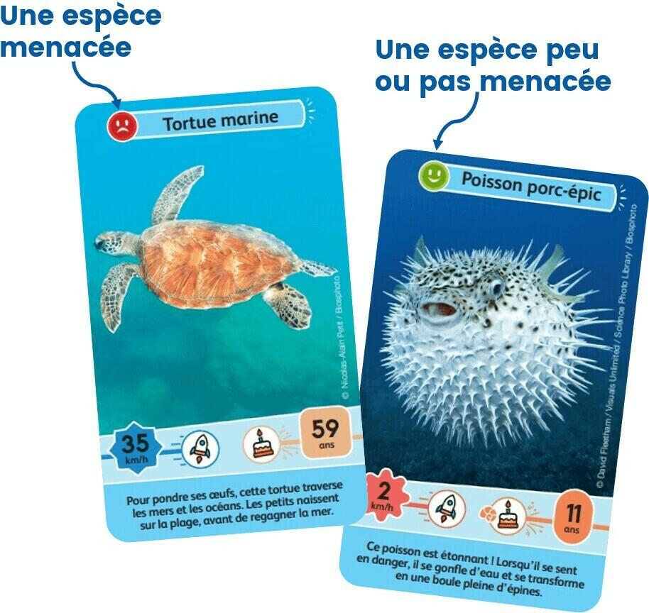 Défis Nature: Junior - Merveilles de la Mer Cartes