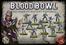 Blood Bowl: The Game of Fantasy Football - The Naggaroth Nightmares