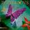 Papillons