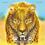 Wild: Serengeti