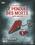 50 Clues: Escape Thriller - Le Pendule des Morts