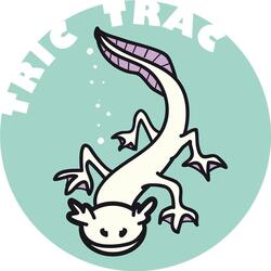 Tric Trac