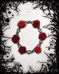 Black Rose Wars: Hidden Thorns