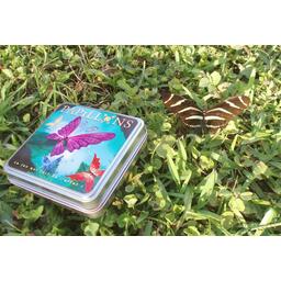 Papillons Eclate