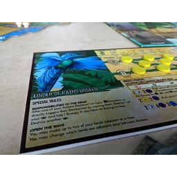 Spirit Island: Terre Fracturée Zoom