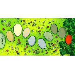 La Course des Tortues Plateau