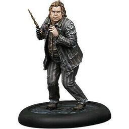 Harry Potter: Miniatures Adventure Game Figurine