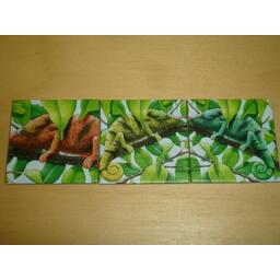 Charly im Zoo Tuiles