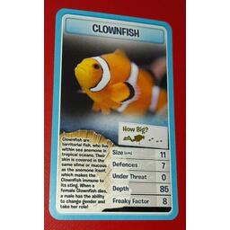 Top Trumps: Créatures Marines Carte