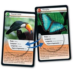 Défis Nature: Animaux Inspirants Cartes