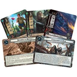 Le Seigneur des Anneaux: Le Jeu de Cartes - La Chose des Profondeurs Cartes