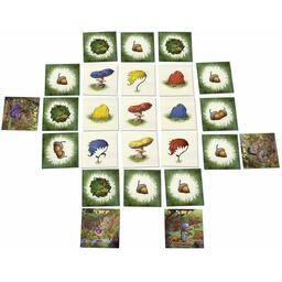 Le Bois Des Coua2sous Eclate