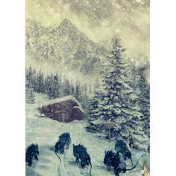 Shaan: Renaissance - Le Feu sous la Glace - Tome 2 Artwork