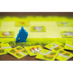 Brains Family: Châteaux & Dragons Zoom