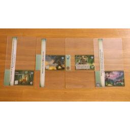 Mystic Vale: Le Val Sauvage Eclate