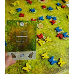 Dust in the Wings Zoom