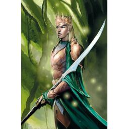 La Bataille des Cinq Armées Artwork