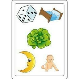 Tam Tam: Safari - CP - Niveau 1 Carte