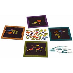 À la Manière d'Arcimboldo Eclate