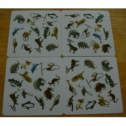 Panicozoo 2006 Cartes