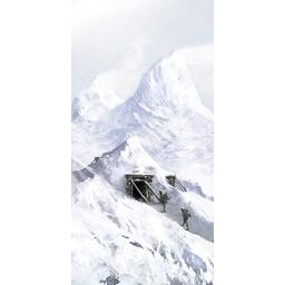 Splendor Artwork Neige