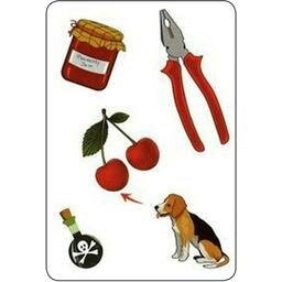 Tam Tam: Safari - CE1 - Niveau 1 Eclate