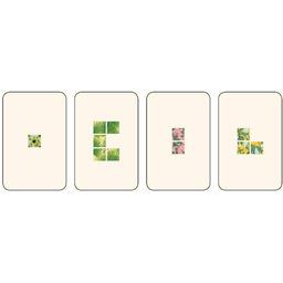 Second Chance Cartes