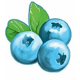 Dobble: Junior Jeton