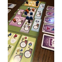 Tiny Epic Dinosaurs Eclate