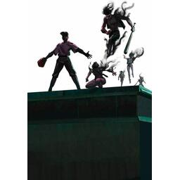 Vendetta Vampire: La Mascarade Artwork