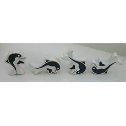 Schau hin, Delphin Zoom