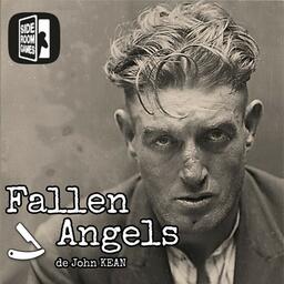 Fallen Angels Cover