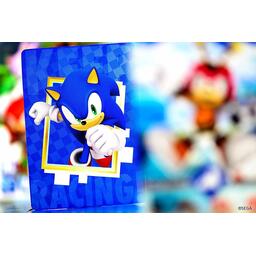 Sonic: The Card Game Eclate