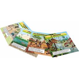 BrainBox: Voyage dans le Temps Cartes