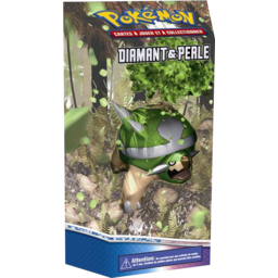 Pokémon: Diamant & Perle - Terra Firma Cover Transparent
