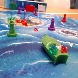 Bermuda Pirates Zoom