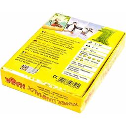 Pyramide d’Animaux: Jeu de Cartes Back 3d