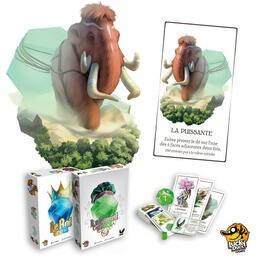 Le Conseil des 12 Eclate