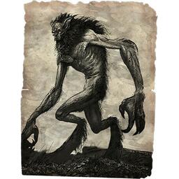 Horreur à Arkham: Le Jeu de Cartes - La Malédiction du Rougarou Artwork