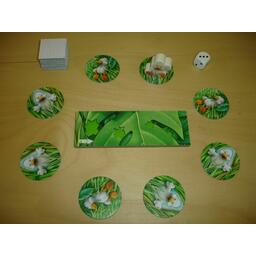 Charly im Zoo Eclate