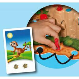 Suricat'Cache Eclate