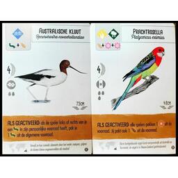 Wingspan: Extension Océanie Cartes