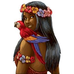 Carcassonne: Mers du Sud Artwork