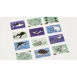 Fish 'n' Flips Eclate